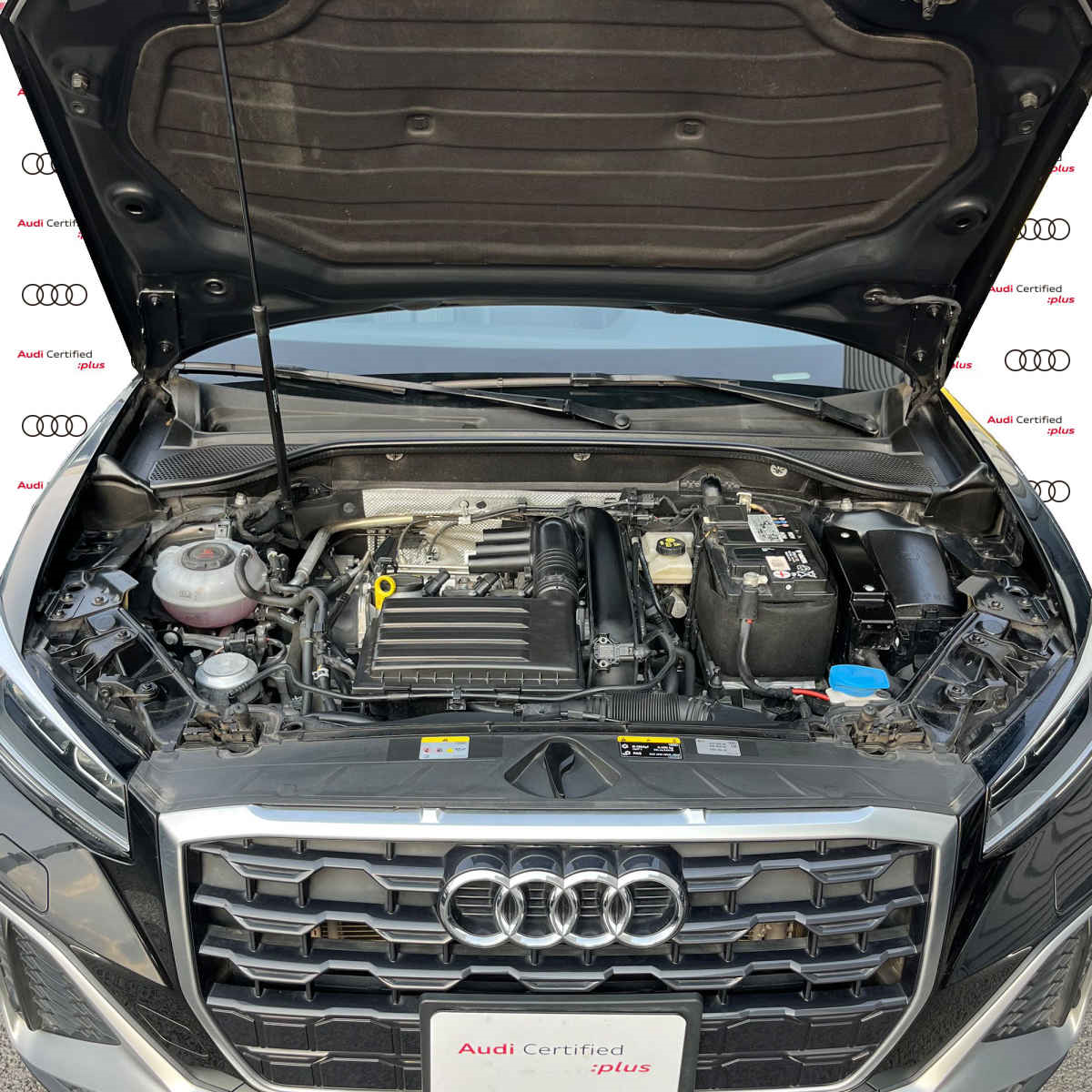 Audi Q2 2022