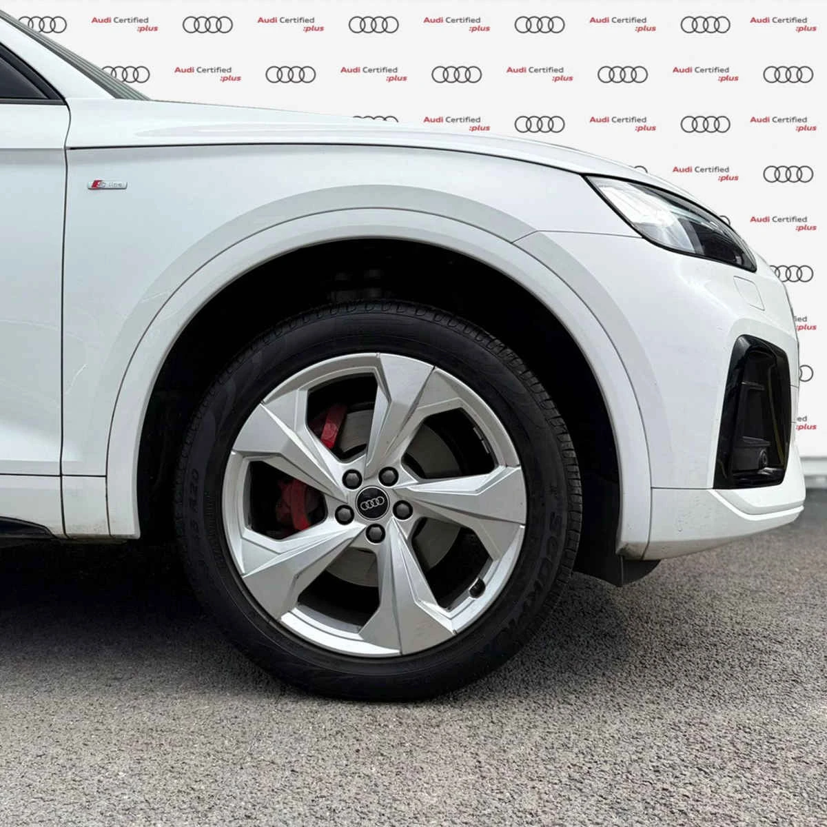 Audi Q5 2025