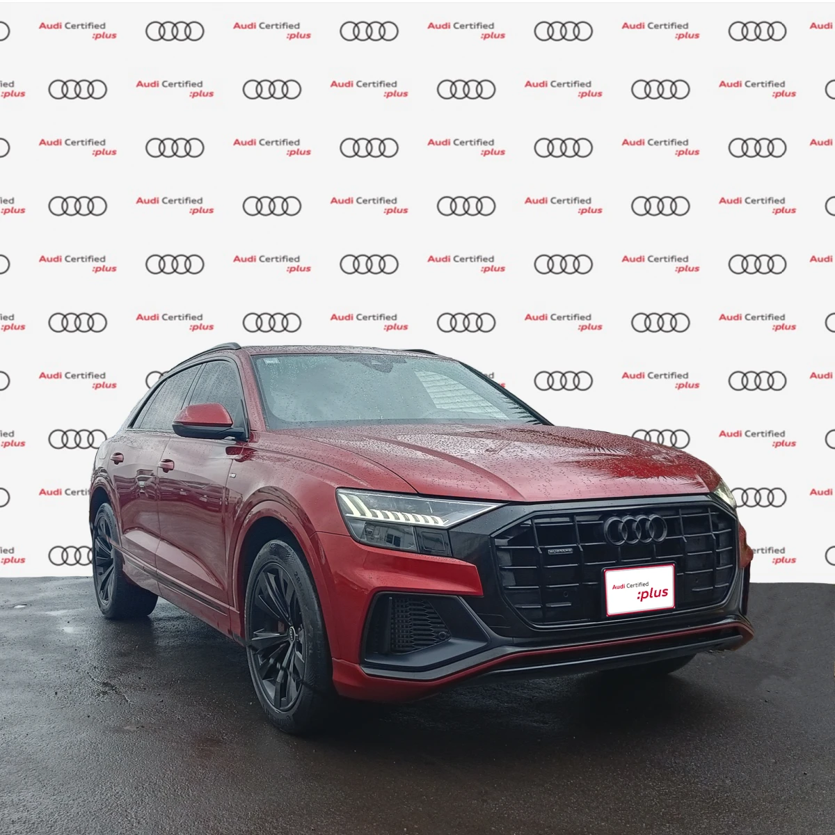 Audi Q8 2023