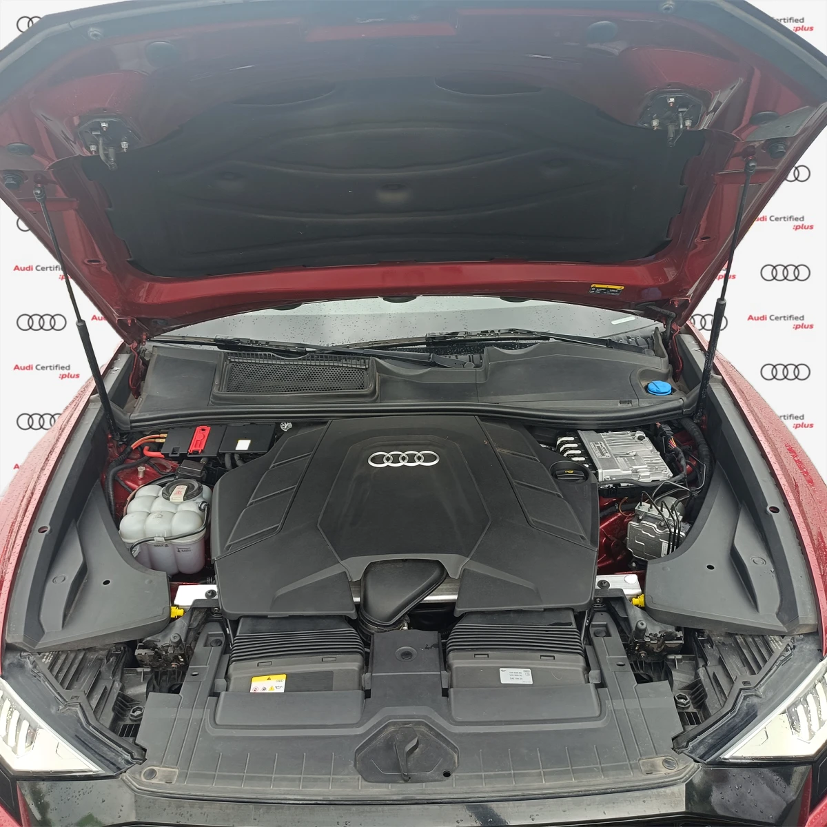 Audi Q8 2023