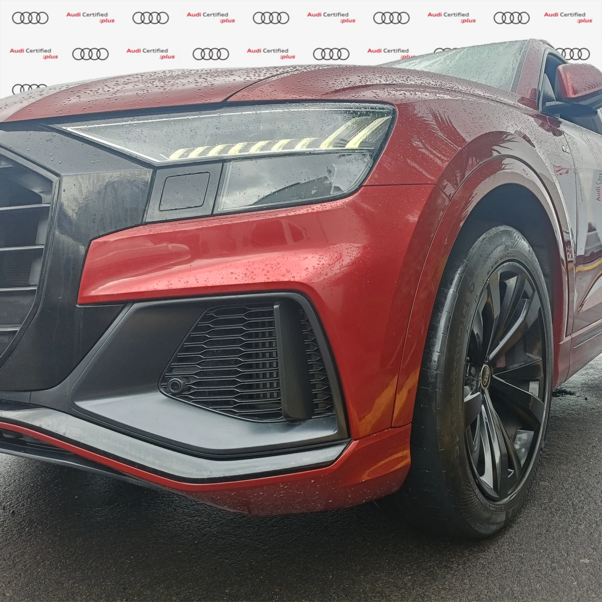 Audi Q8 2023