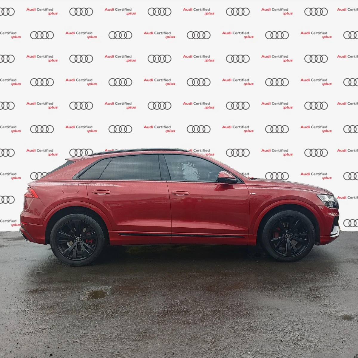 Audi Q8 2023