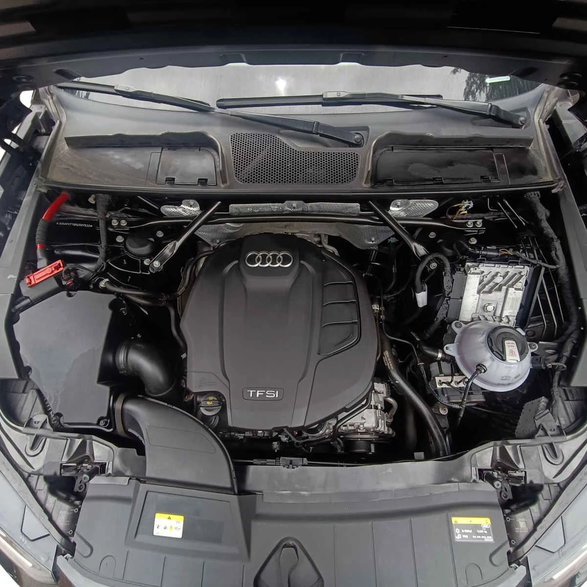 Audi Q5 2021