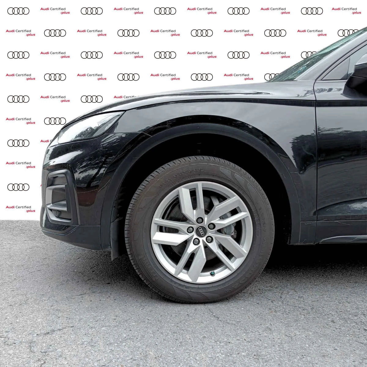 Audi Q5 2021