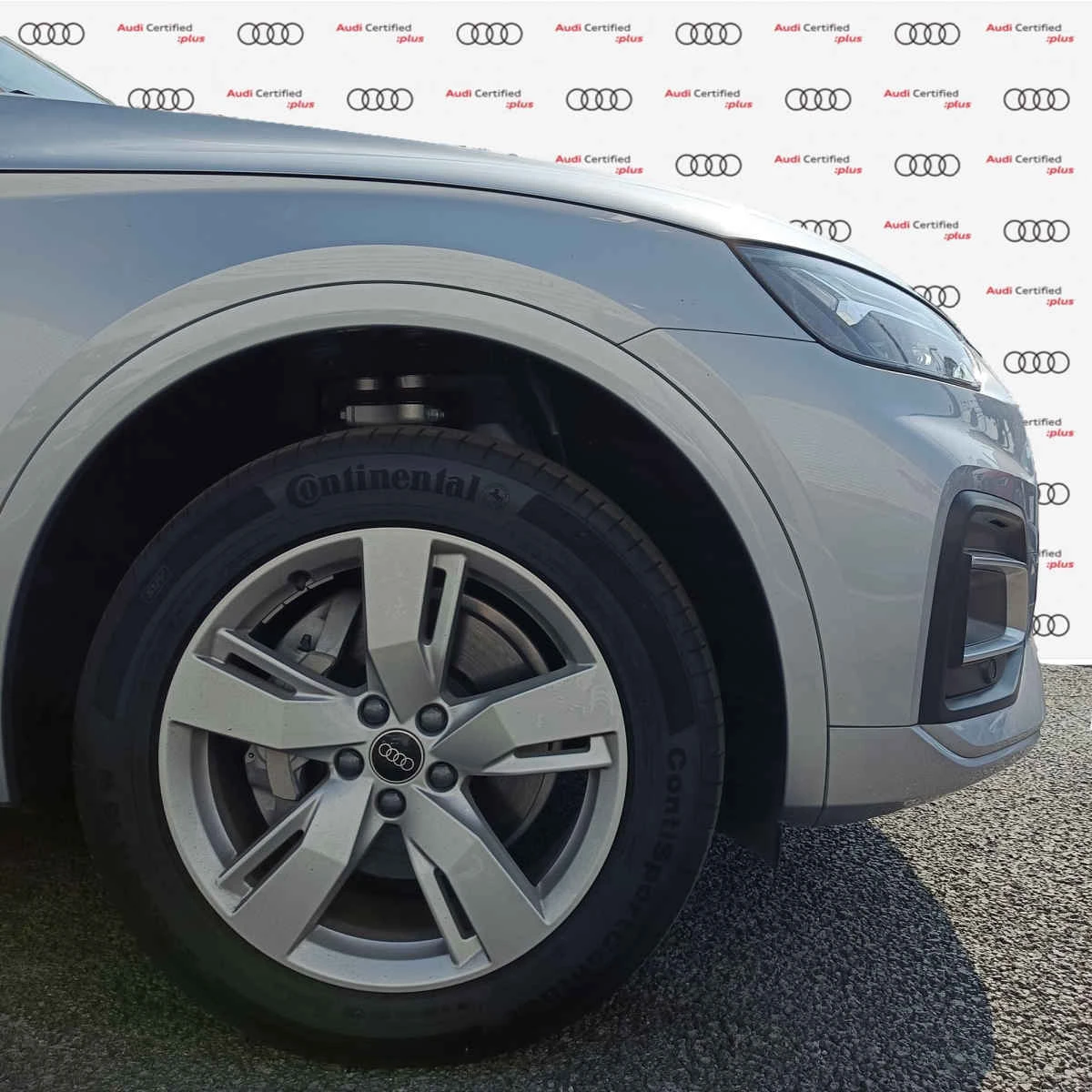 Audi Q5 2025