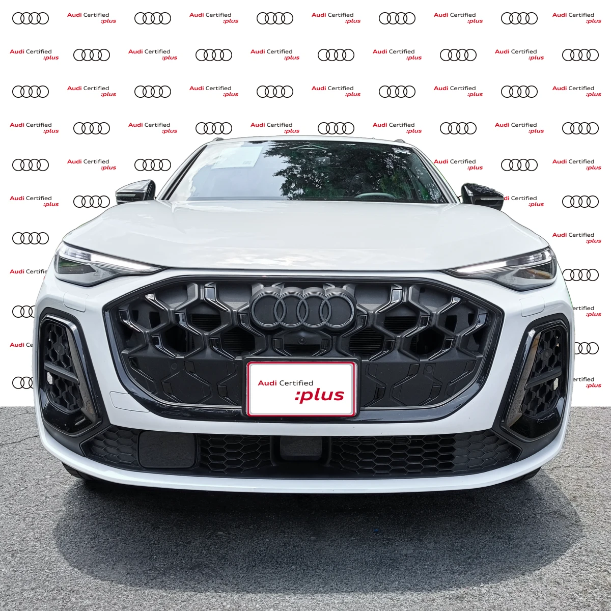 Audi Q5 2026