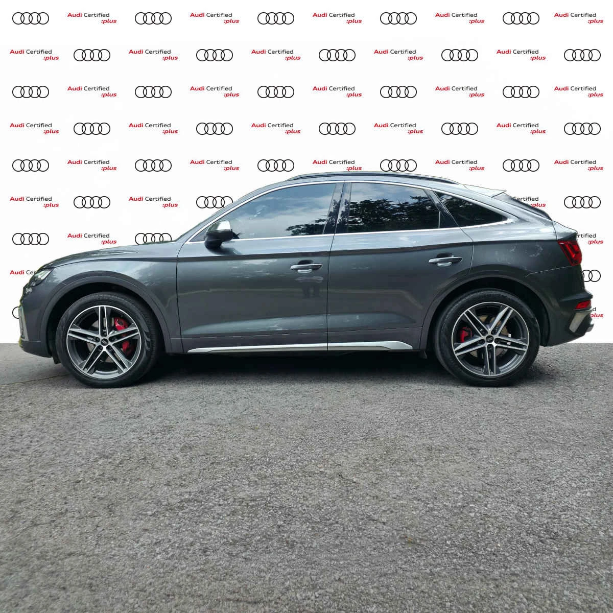 Audi SQ5 2024
